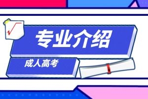 云南省成人高考高起本石油工程专业怎么样？