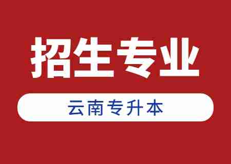 2025年云南省普通专升本专业对应关系&mdash;&mdash;楚雄师范学院
