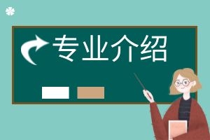 2025云南成人高考专升本-小学教育专业详细介绍