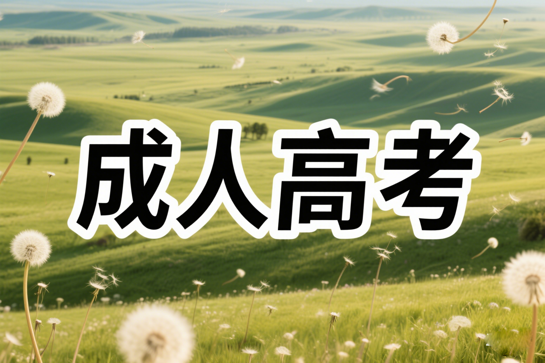 哪些人才可以报名参加2025年云南成考？