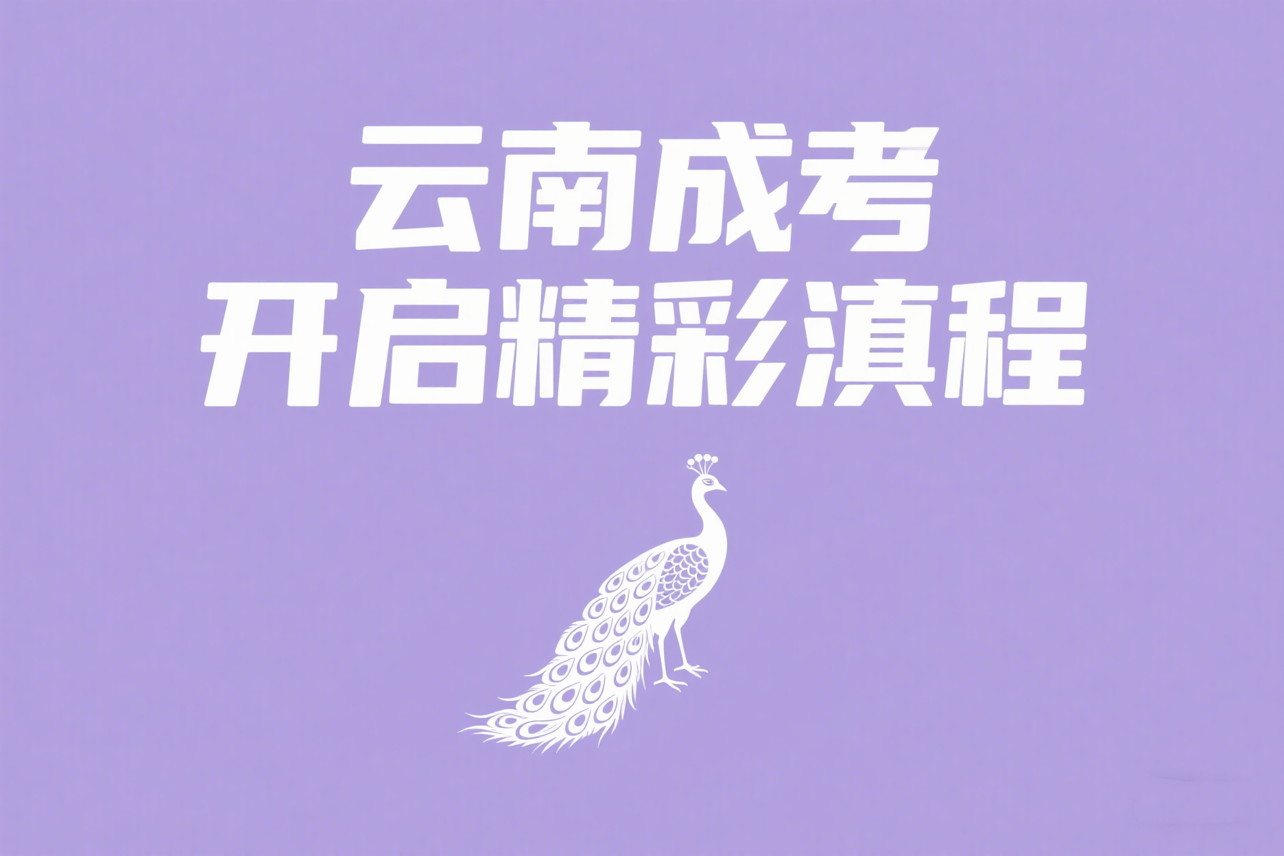 成人高考的大专学历有用吗