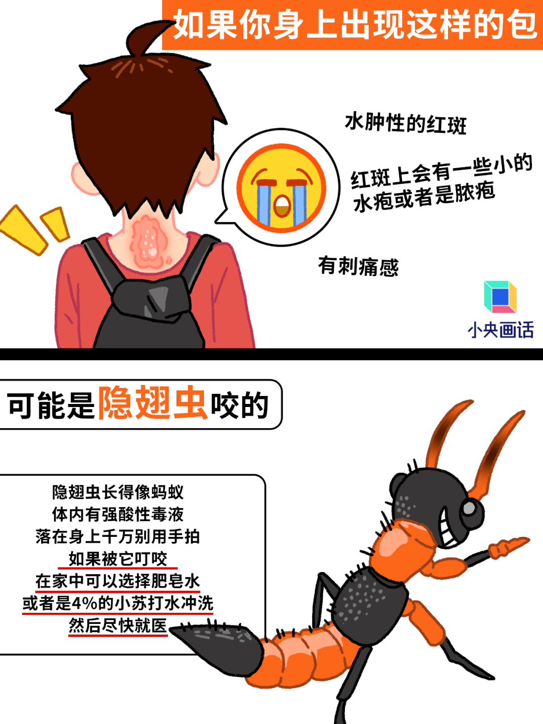 1716543016996170.png